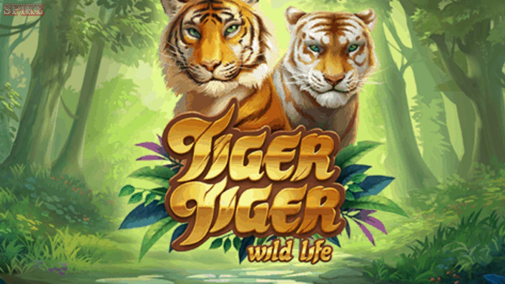 Tiger Tiger Wild Life Slot Machine Online Free Play